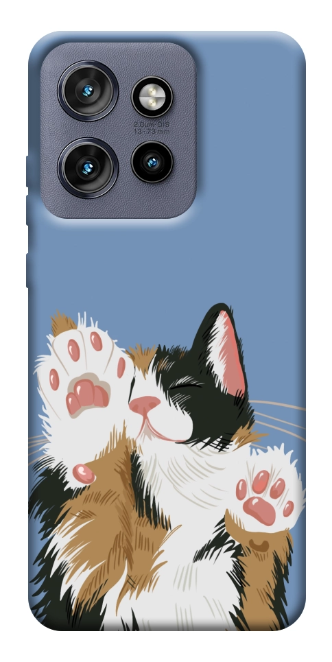 Чохол Funny cat для Motorola Edge 60 Neo