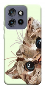 Чехол Cat muzzle для Motorola Edge 60 Neo