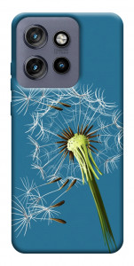 Чехол Air dandelion для Motorola Edge 60 Neo