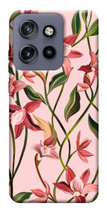 Чехол Floral motifs для Motorola Edge 60 Neo