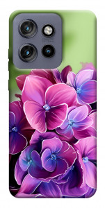 Чехол Кружевная гортензия для Motorola Edge 60 Neo