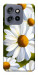 Чохол Ароматна ромашка для Motorola Edge 60 Neo