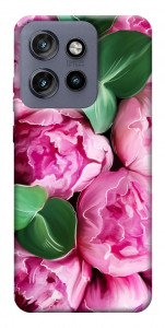 Чехол Пахучие пионы для Motorola Edge 60 Neo
