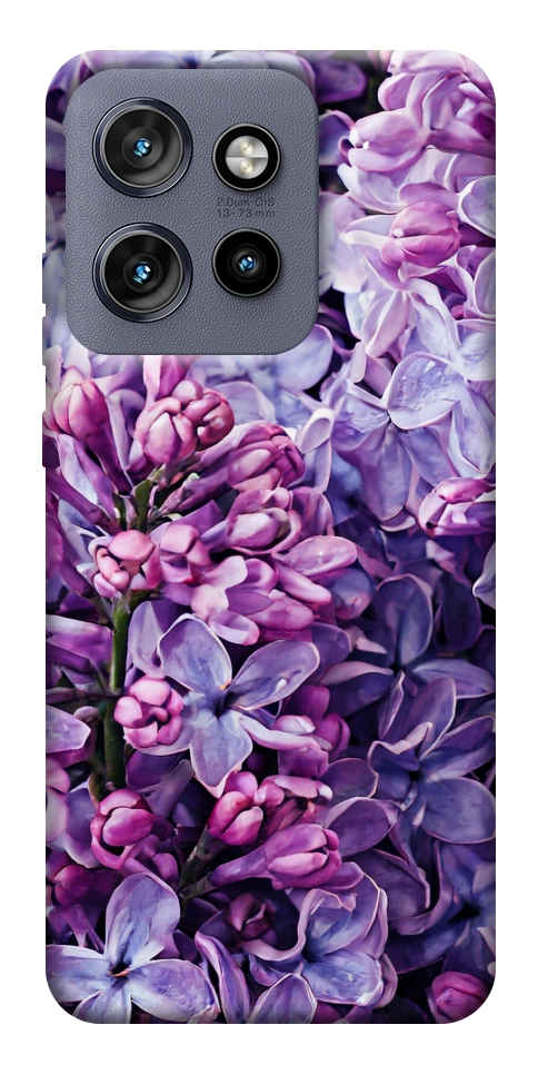 Чехол Violet blossoms для Motorola Edge 60 Neo