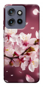 Чехол Sakura для Motorola Edge 60 Neo