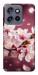 Чохол Sakura для Motorola Edge 60 Neo