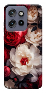 Чехол Velvet roses для Motorola Edge 60 Neo