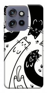 Чехол Черно-белые коты для Motorola Edge 60 Neo