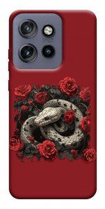 Чехол Roses snake для Motorola Edge 60 Neo