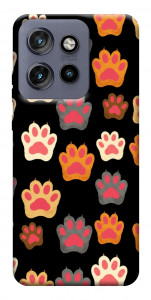 Чехол Colorful Paws для Motorola Edge 60 Neo