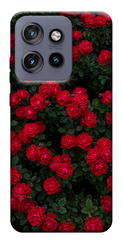 Чехол Eternal roses для Motorola Edge 60 Neo
