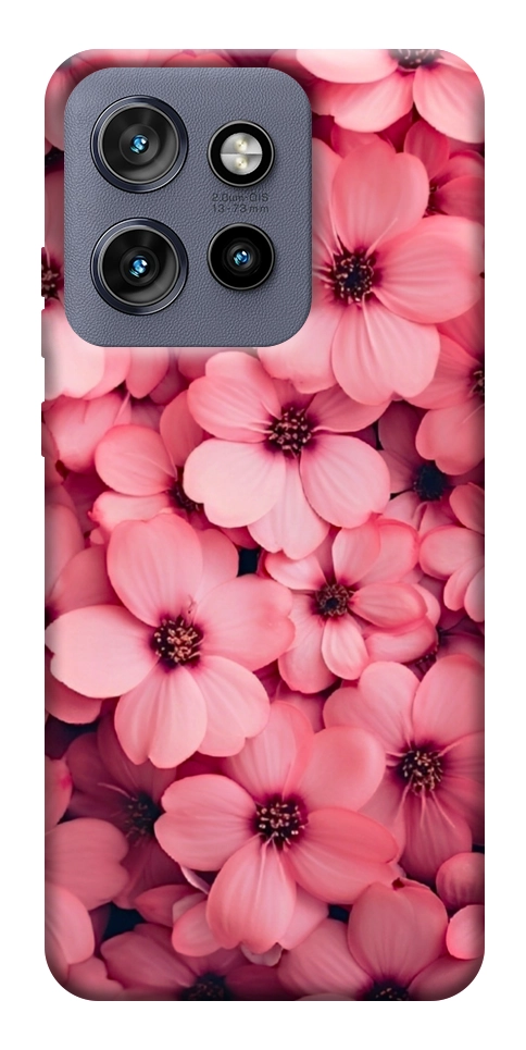 Чехол Pink flowers для Motorola Edge 60 Neo