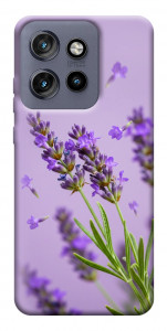 Чехол Lavender purple для Motorola Edge 60 Neo