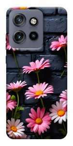 Чехол Розовый контраст для Motorola Edge 60 Neo