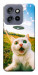 Чехол Ufo cat для Motorola Edge 60 Neo
