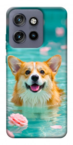Чехол Swimming corgi для Motorola Edge 60 Neo