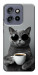 Чехол Grey cat coffee для Motorola Edge 60 Neo