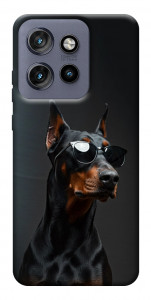Чехол Cool doberman для Motorola Edge 60 Neo