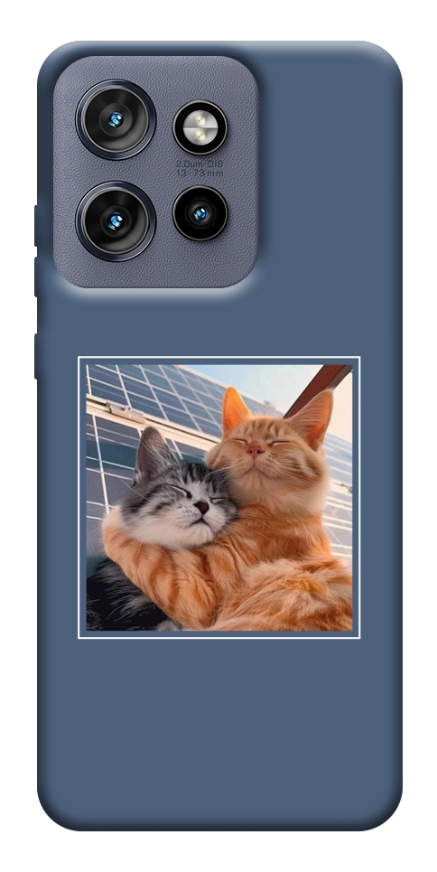 Чехол Кошачья нежность для Motorola Edge 60 Neo
