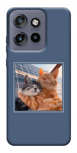 Чехол Кошачья нежность для Motorola Edge 60 Neo
