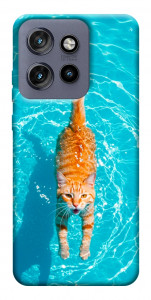 Чехол Cat swimming для Motorola Edge 60 Neo