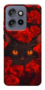 Чехол Rose cat для Motorola Edge 60 Neo