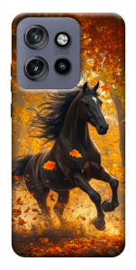 Чехол Autumn Horse для Motorola Edge 60 Neo