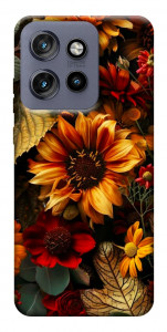 Чехол Autumn vibe для Motorola Edge 60 Neo