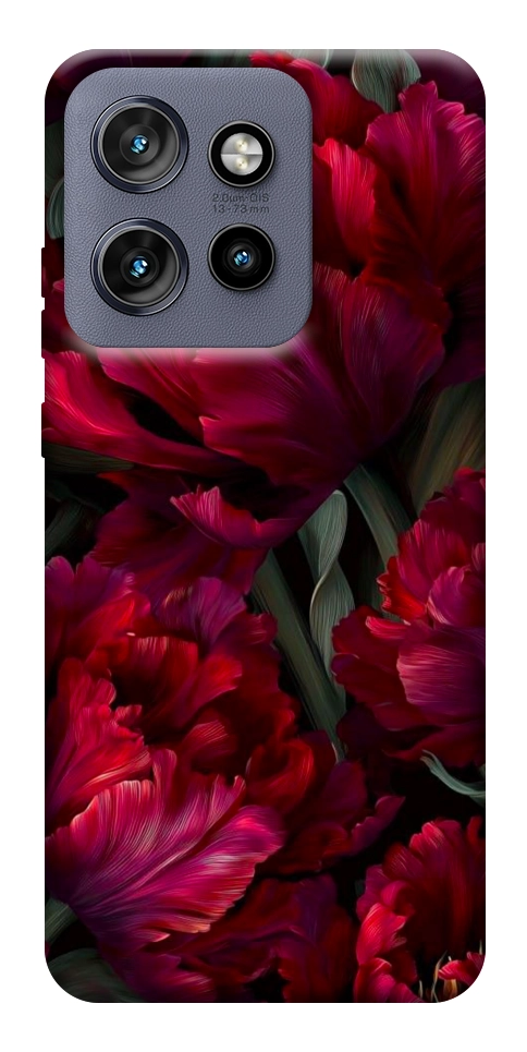 Чехол Passion flower для Motorola Edge 60 Neo