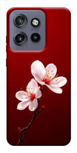 Чехол Sakura red для Motorola Edge 60 Neo