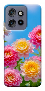 Чехол Summer day для Motorola Edge 60 Neo