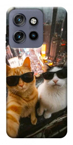 Чехол Cool cats city для Motorola Edge 60 Neo