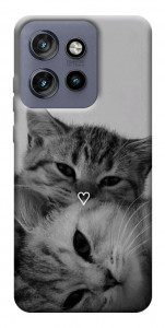Чехол Grey cats для Motorola Edge 60 Neo