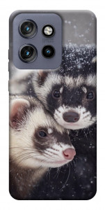 Чехол Хорьки для Motorola Edge 60 Neo