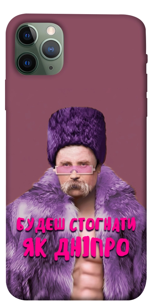 Чехол Шевченко–Дніпро для iPhone 11 Pro Max
