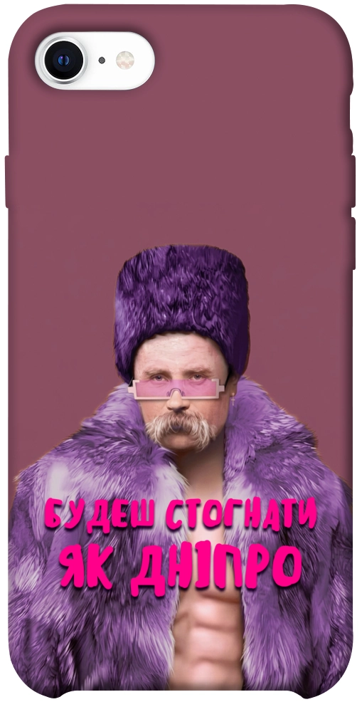 Чехол Шевченко–Дніпро для iPhone SE (2020)