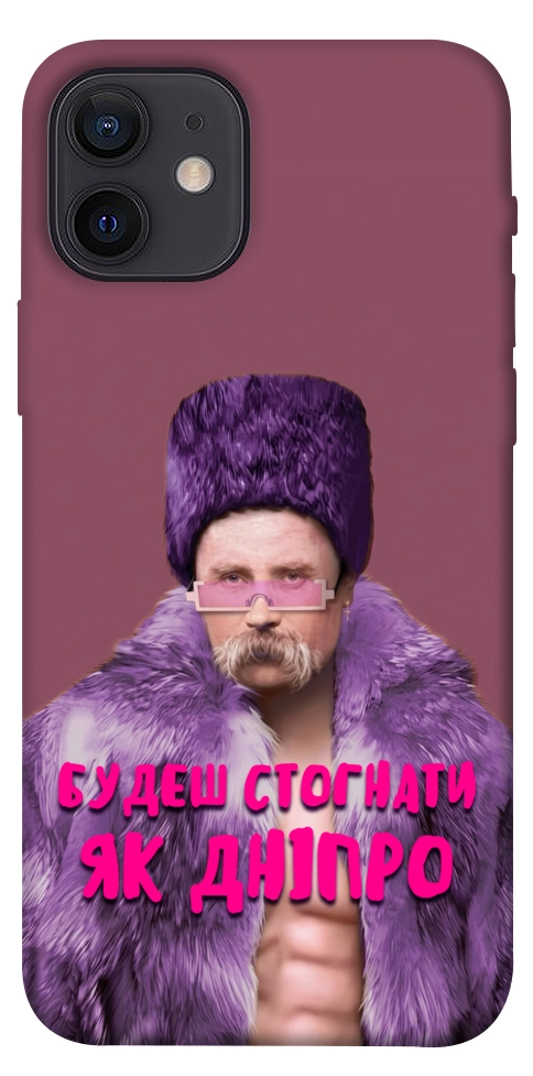 Чехол Шевченко–Дніпро для iPhone 12