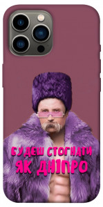 Чехол Шевченко–Дніпро для iPhone 12 Pro Max