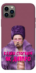 Чехол Шевченко–Дніпро для iPhone 12 Pro