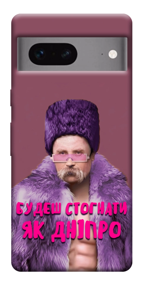 Чехол Шевченко–Дніпро для Google Pixel 7