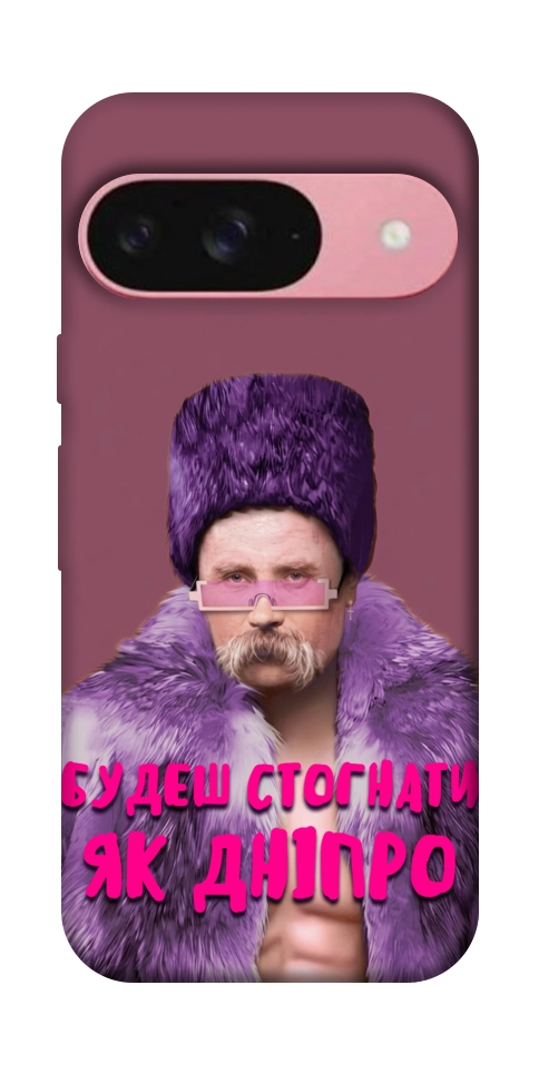 Чехол Шевченко–Дніпро для Google Pixel 9