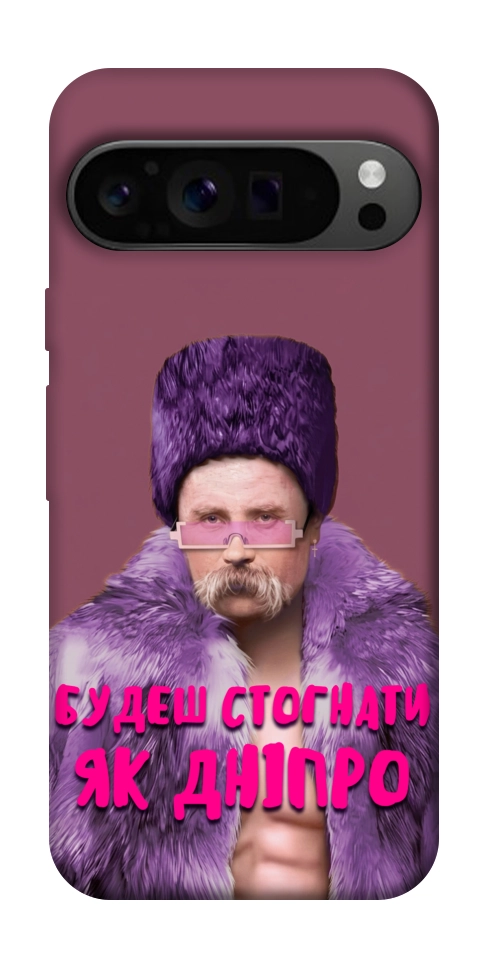 Чохол Шевченко–Дніпро для Google Pixel 9 Pro