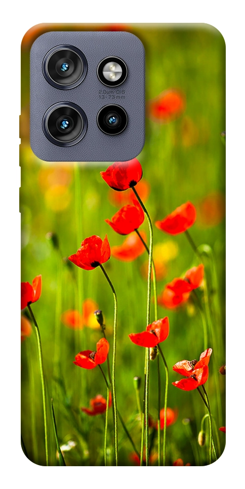 Чехол Маковое поле для Motorola Edge 60 Neo