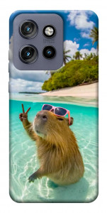 Чехол Сapybara vacation для Motorola Edge 60 Neo