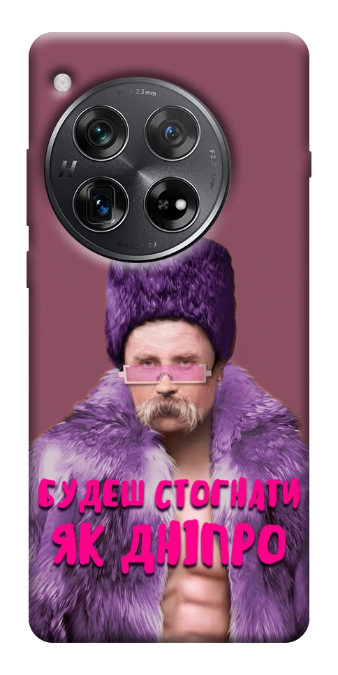 Чехол Шевченко–Дніпро для OnePlus 12