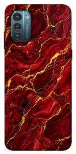 Чехол Burgundy gold для Nokia G21