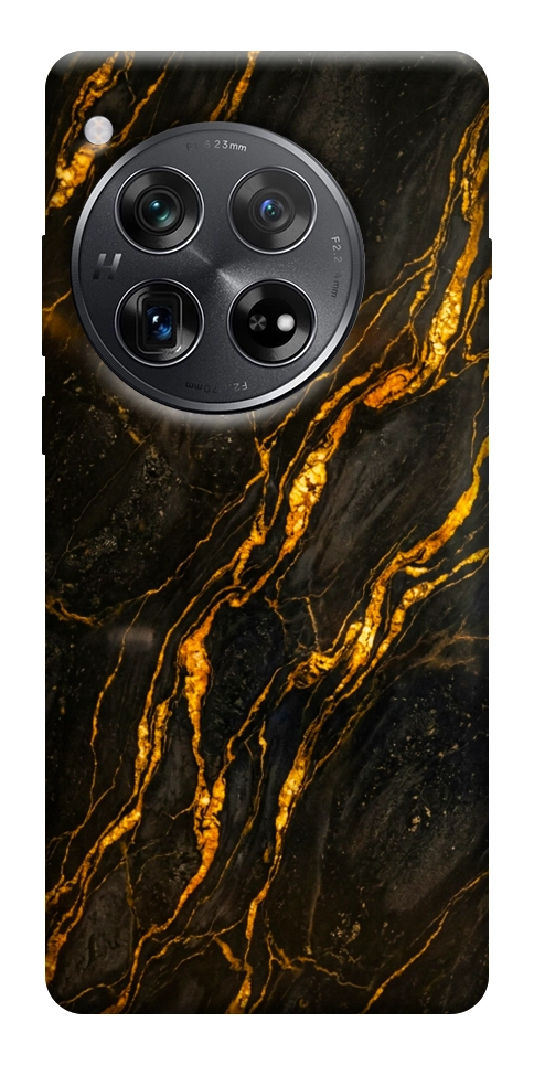 Чехол Black gold для OnePlus 12
