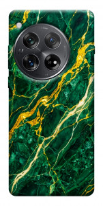 Чехол Emerald gold для OnePlus 12
