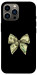 Чехол Dollar bant для iPhone 12 Pro Max