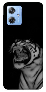 Чехол Black tiger для Motorola Moto G84
